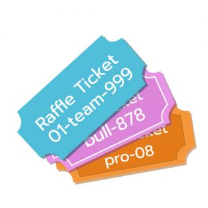 1 Ticket - Select a prize